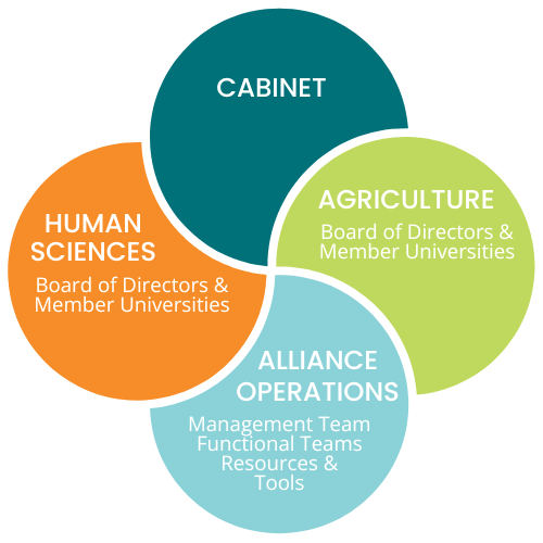 This Venn Diagram has four circles intersecting. The top circle is labeled Cabinet. The left circle reads Human Sciences which includes the Board of Directors and Member Universities. The bottom circle includes Alliance Operations which involves the Management Team, the Functional Teams, and tools. The right circle represents agriculture which includes the Board of Directors and Member Universities. All four circles intersect and represent the organization of IDEA.